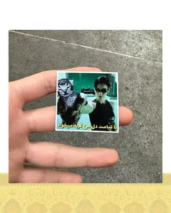 استيكر "تا قيامت دل من گربه ميخواد ٢"