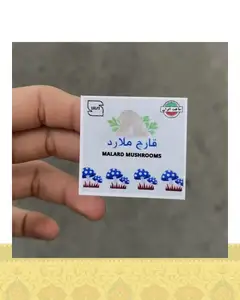 استيكر قارچ ملارد