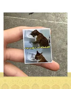 استيكر "خاورميانه ات رو قورت بده"