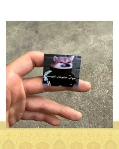 استيكر جواب خاموشان ابلهي است