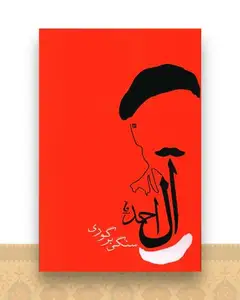 سنگی بر گوری