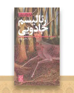 رئالیسم جادویی (پالتویی)