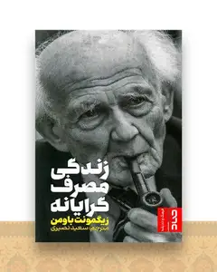 زندگی مصرف گرایانه