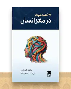 21 گشت کوتاه در مغز انسان