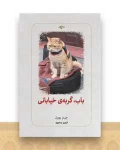 باب گربه خیابانی