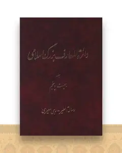 دایره المعارف بزرگ اسلامی (جلد 25)(رحلی)
