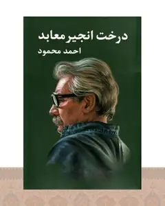 کتاب درخت انجیر معابد (2 جلدی)