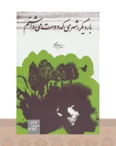 کتاب بار دیگر شهری که دوست می داشتم