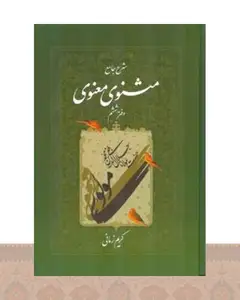 کتاب شرح جامع مثنوی معنوی (دفتر ششم)