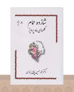 کتاب شازده حمام 6