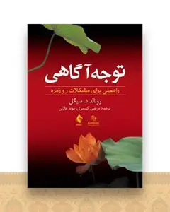 توجه ‌آگاهی سیگل (کشمیری)