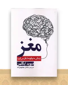 مغز (زندگی ما چگونه شکل میگیرد)