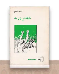 شکفتن در مه