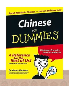 کتاب چاینیز فور دامیز ‏Chinese For Dummies