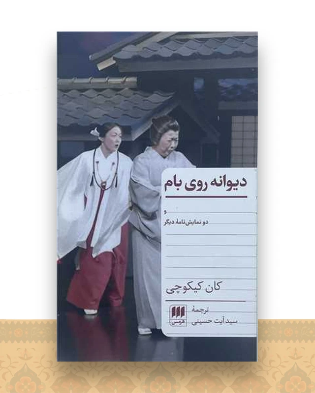 دیوانه روی بام (پالتویی)