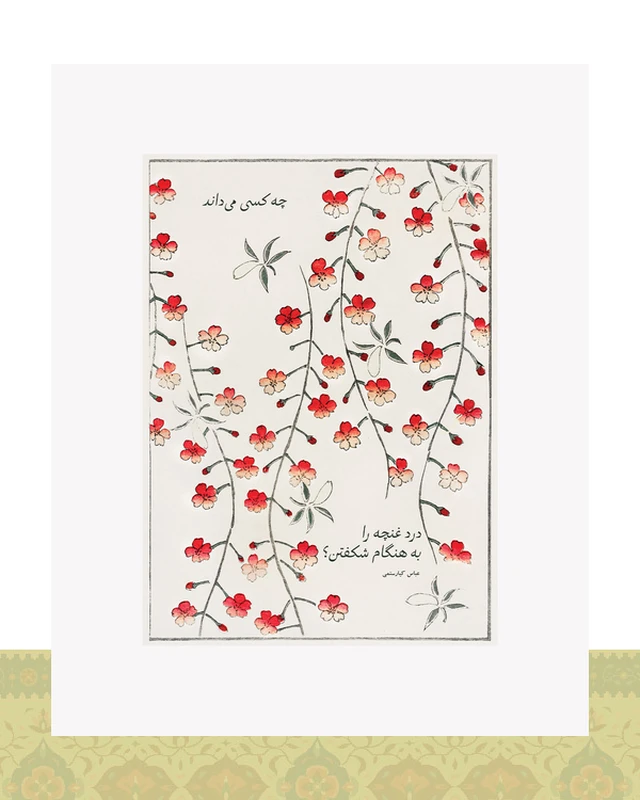 کارت پستال – شکفتن غنچه – عباس کیارستمی