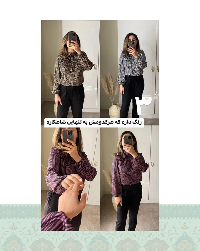 شومیز زبرا در دیارلند
